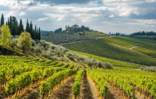 Bespoke Tuscany234