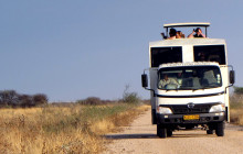 Chameleon Safaris1