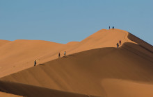 Chameleon Safaris2