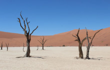 Chameleon Safaris10