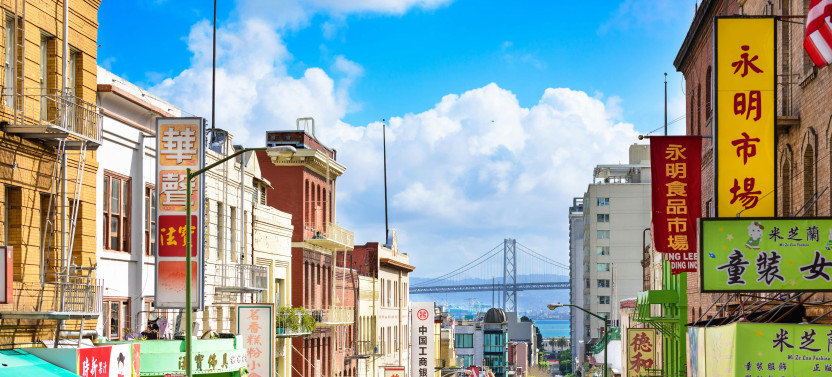 San Francisco, Warrior Cat - City Exploration Game