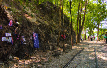Discova Day Tours and Activities5