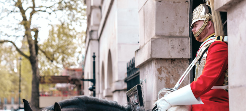 Private Expert-led Royal London: Changing of the Guard & Buckingham Palace