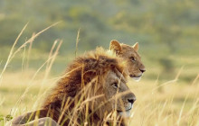Jossec Tours and Safaris2