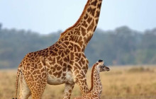Jossec Tours and Safaris3