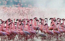 Jossec Tours and Safaris4