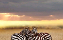 Jossec Tours and Safaris5