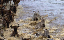 Jossec Tours and Safaris1