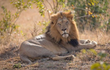 Jossec Tours and Safaris7