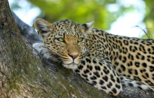 Jossec Tours and Safaris2