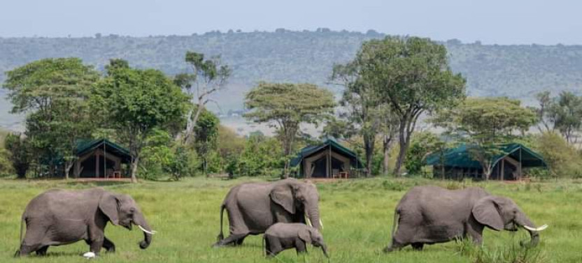 3-Day Private Masai Mara Safari with Stay at Mara Sopa Lodge