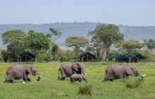 Jossec Tours and Safaris3