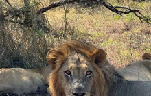 Jossec Tours and Safaris4