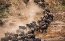 Jossec Tours and Safaris5