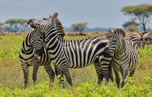 Jossec Tours and Safaris8