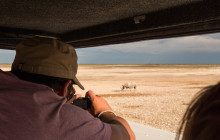 Chameleon Safaris6