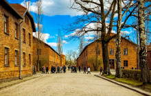 Crown Tours Srl6