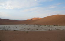 Chameleon Safaris13
