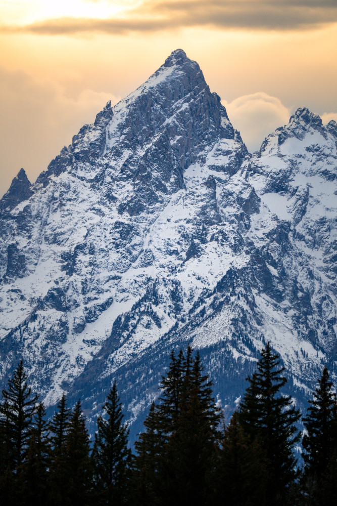 Sunrise Grand Teton Wildlife Safari