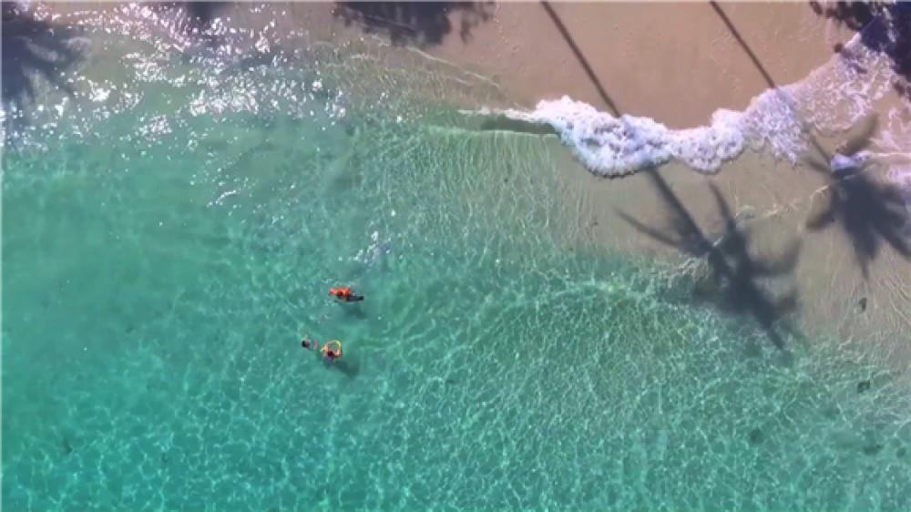 Private Charter (8 Hours) from St. Martin