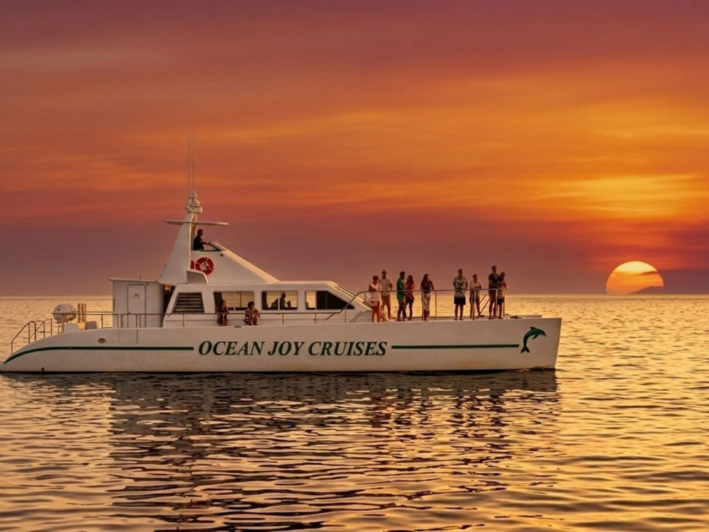 Luxurious Private Sunset Dolphin Watch & Snorkel Cruise w/ Dinner & Drinks