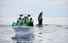 Cabo Nature8