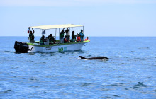 Cabo Nature10