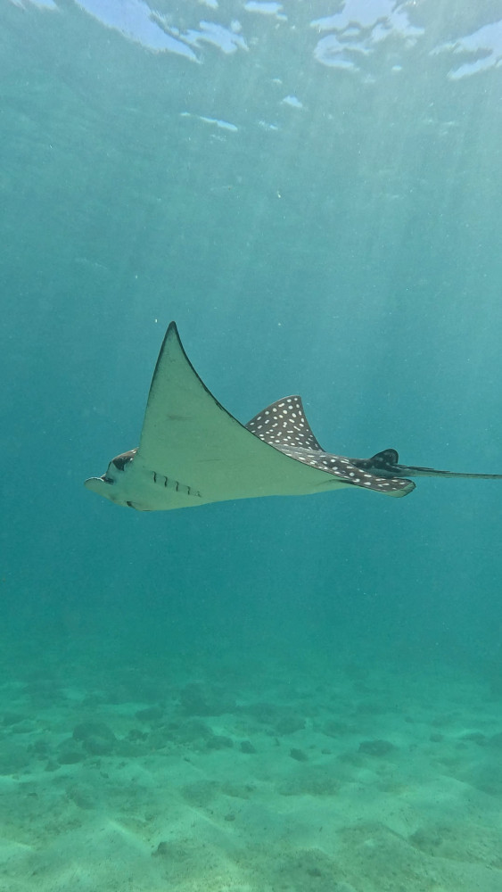 Cabo Nature