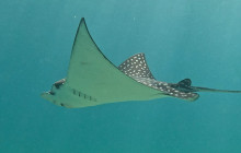 Cabo Nature17