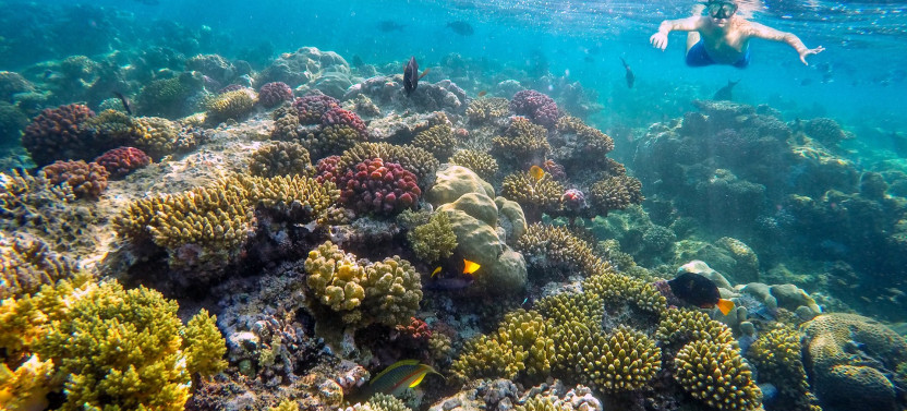 Snorkeling Day Trip to Giftun Island Or Orange Bay Island from Hurghada