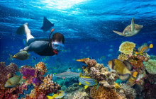 Egypt Gift Tours4