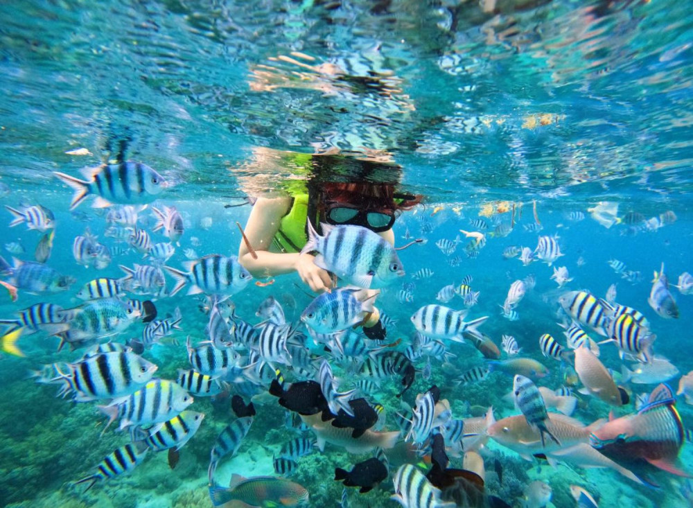 Snorkeling at Hon Mun island and Mini Beach