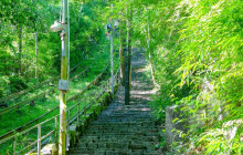 THE BODHI JOURNEY16