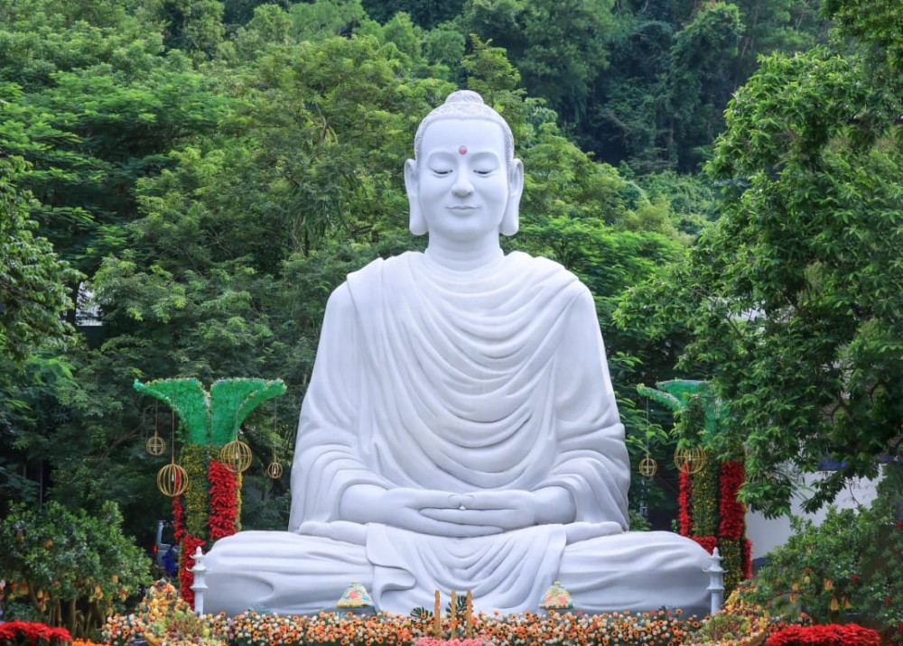THE BODHI JOURNEY