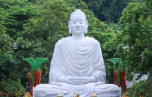 THE BODHI JOURNEY17