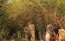 About Cambodia Travel & Tours2