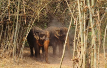 About Cambodia Travel & Tours4