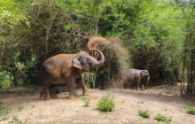 About Cambodia Travel & Tours6