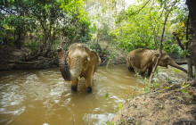 About Cambodia Travel & Tours7