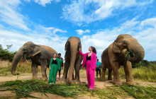 About Cambodia Travel & Tours8
