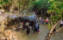 About Cambodia Travel & Tours12
