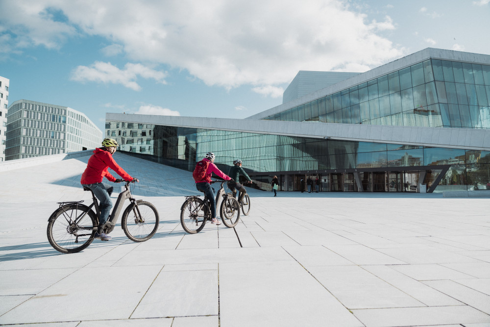 Highlights of Oslo by Bike Group Tour