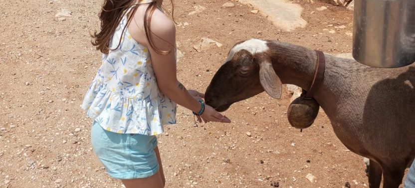 Private Naxian Farm Experience with Hands-on Cheese Making