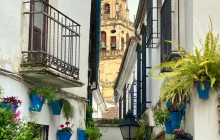 LivTours3