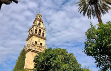 LivTours1