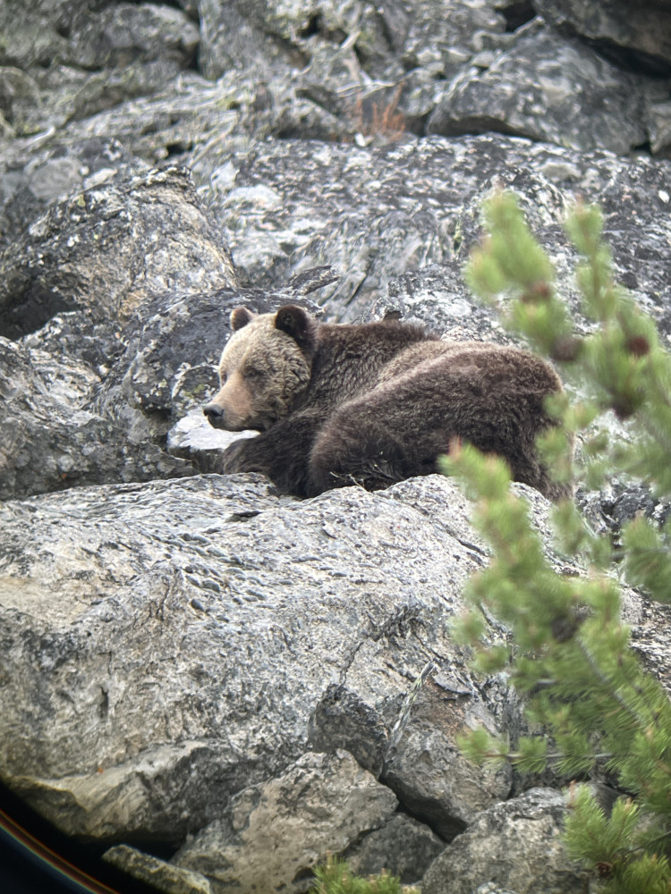 Private Full Day Yellowstone Discovery Adventure