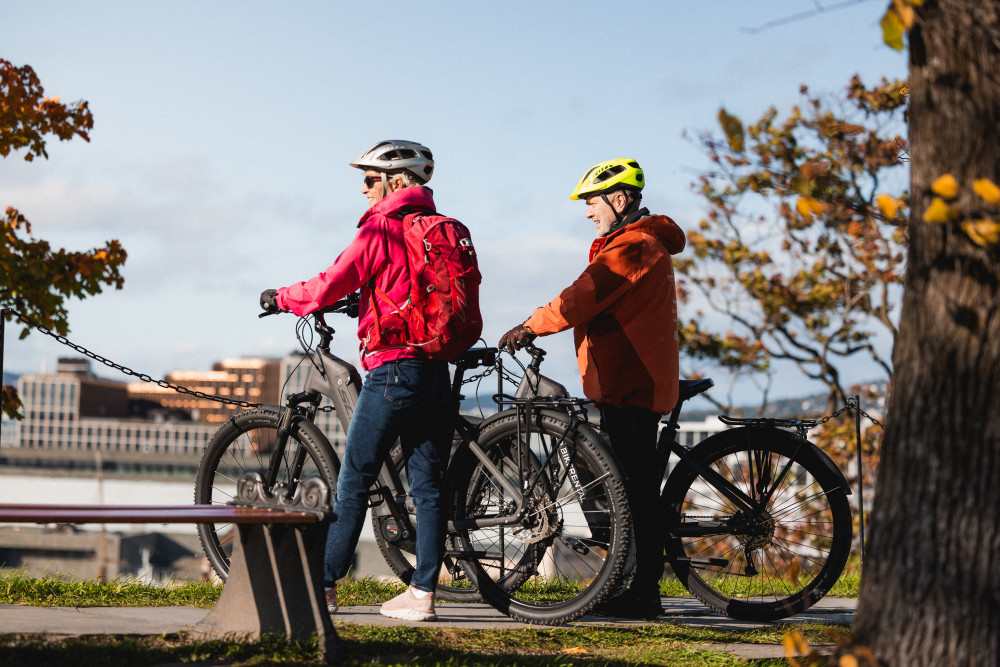 Private Highlights of Oslo by Bike