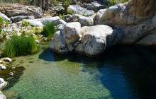 High Tide Los Cabos12