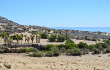 High Tide Los Cabos5