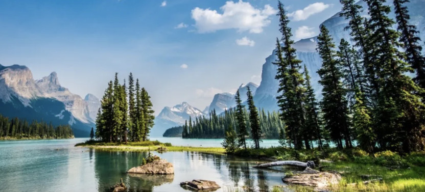 Maligne Valley Sightseeing Tour with Cruise